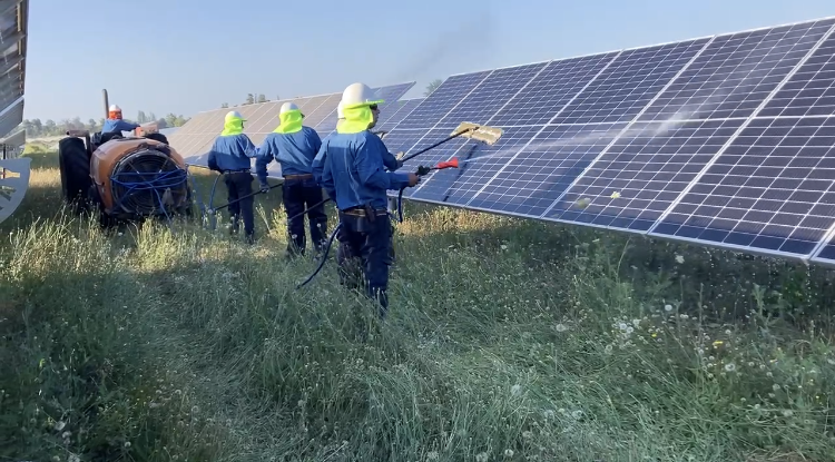 Equipo de operarios realizando limpieza de paneles solares con agua a presión controlada